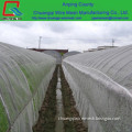 polyethylene Blue greenhouse anti insect netting (factory) for the vegetables,fruit